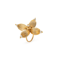 Aquila Ring