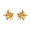 Star Flower Earrings